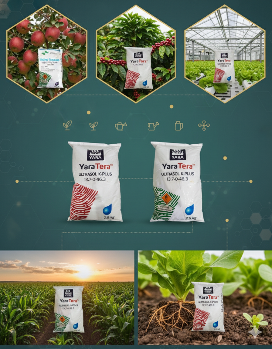 TỔNG HỢP DANH MỤC HÓA CHẤT NÔNG NGHIỆP – HÓA CHẤT ĐÀ LẠT