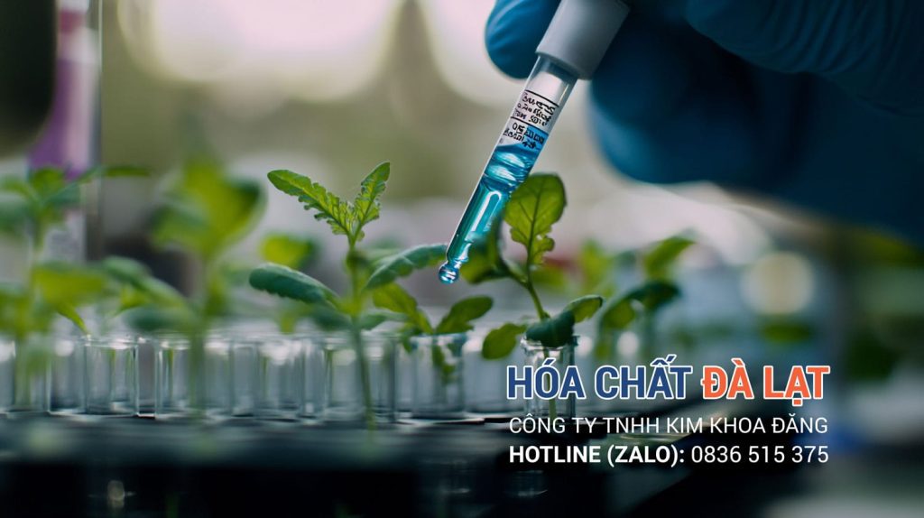 Hóa Chất Đà Lạt – Độc quyền cung cấp hóa chất nuôi cấy mô uy tín tại Đà Lạt và Lâm Đồng