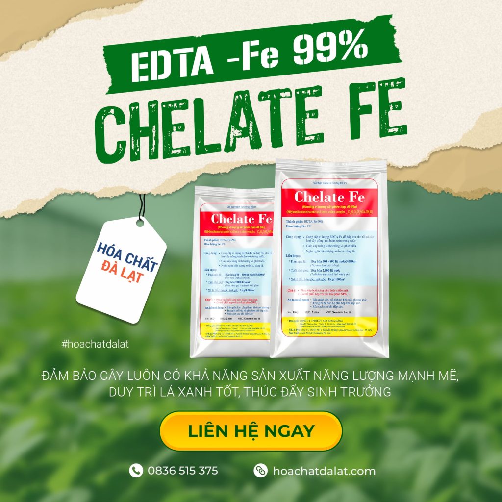 EDTA Fe – Sắt Chelate