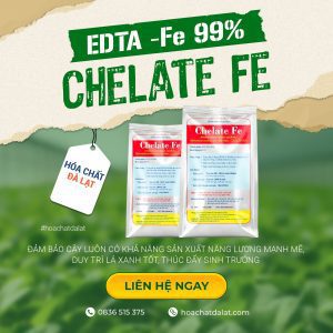 EDTA Fe – Sắt Chelate