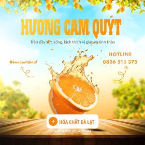 Hương cam - Hóa Chất Đà Lạt