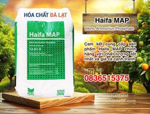 Haifa MAP – Lựa chọn hoàn hảo cho phân bón hòa tan chất lượng cao!