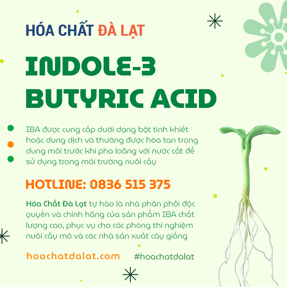 Indole-3-Butyric Acid (IBA) - Hóa Chất Đà Lạt: Nhà Phân Phối Độc Quyền Cho Nuôi Cấy Mô