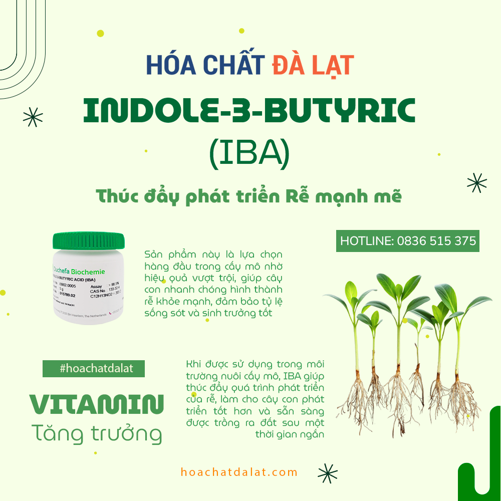 Indole-3-Butyric Acid (IBA) - Hóa Chất Đà Lạt: Nhà Phân Phối Độc Quyền Cho Nuôi Cấy Mô