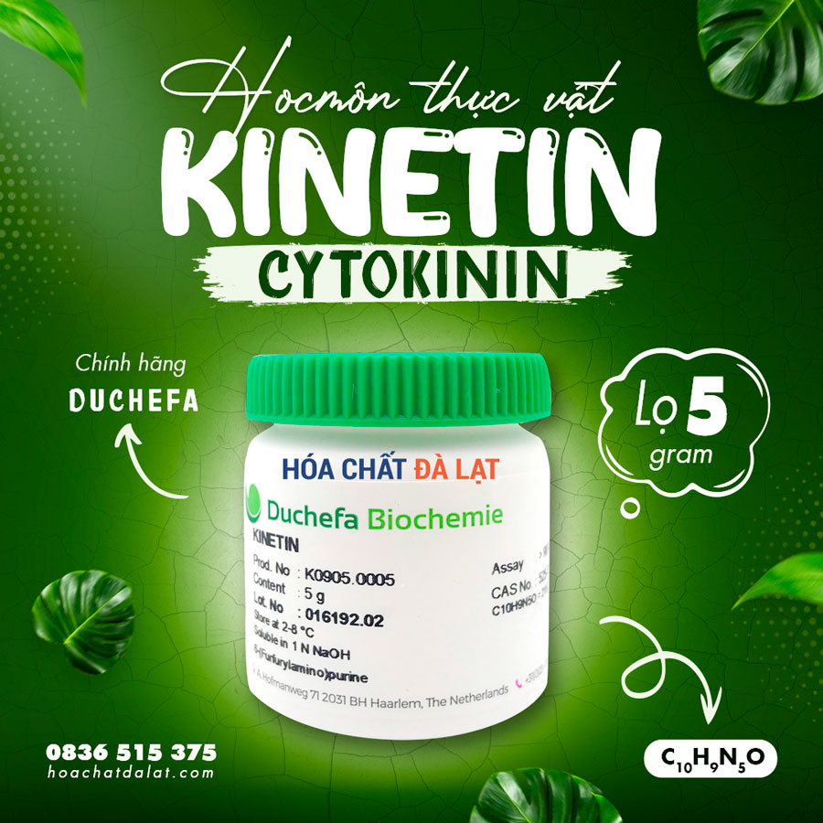 Kinetin Duchefa - Chất Kích Thích Phân Bào Trong Nuôi Cấy Mô Thực Vật