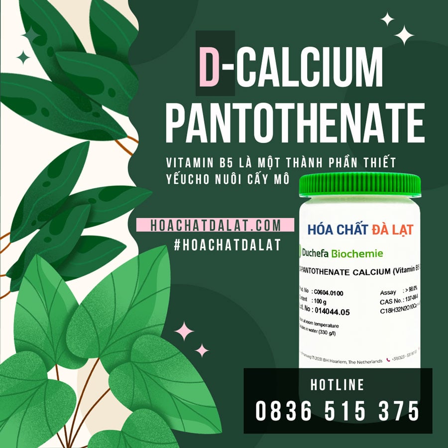 D-Calcium Pantothenate – Sản phẩm chuyên dụng cho nuôi cấy mô thực vật