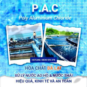Poly Aluminium Chloride (PAC) – Hóa chất xử lý nước hiệu quả cho ao hồ và nhà máy