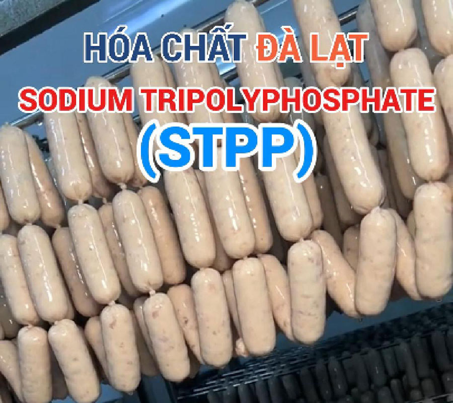 Sodium Tripolyphosphate (STPP) – Phụ gia thực phẩm an toàn giúp thực phẩm luôn tươi ngon