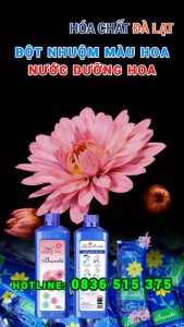 Combo dưỡng hoa & nhuộm màu – Giữ hoa tươi lâu, đổi màu ấn tượng tại nhà!