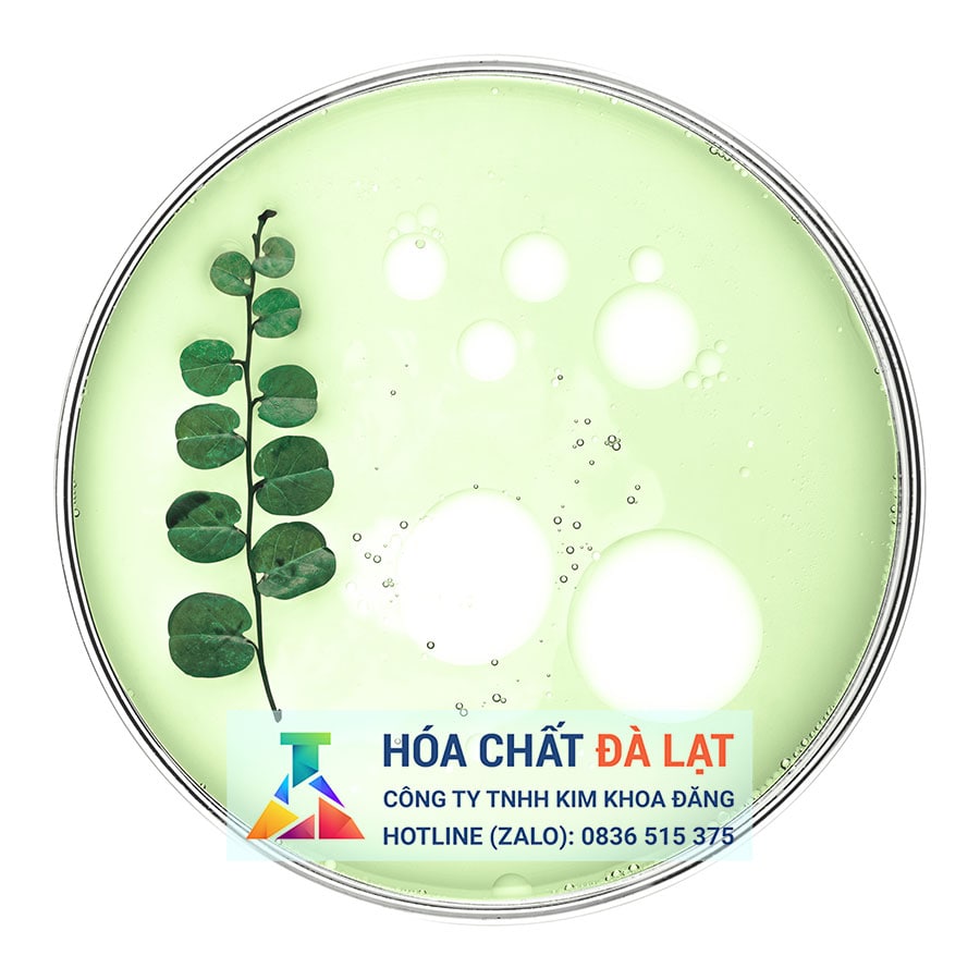 So sánh đĩa Petri nhựa và kính: Nên chọn loại nào cho phòng thí nghiệm?