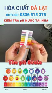 Kiểm Tra pH Nước Tại Nhà Đơn Giản và Chính Xác Cùng Hóa Chất Đà Lạt