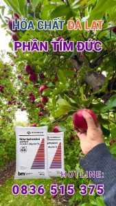 Phân Tím Đức – Nitrophoska Perfect 15-5-20+TE Chính Hãng