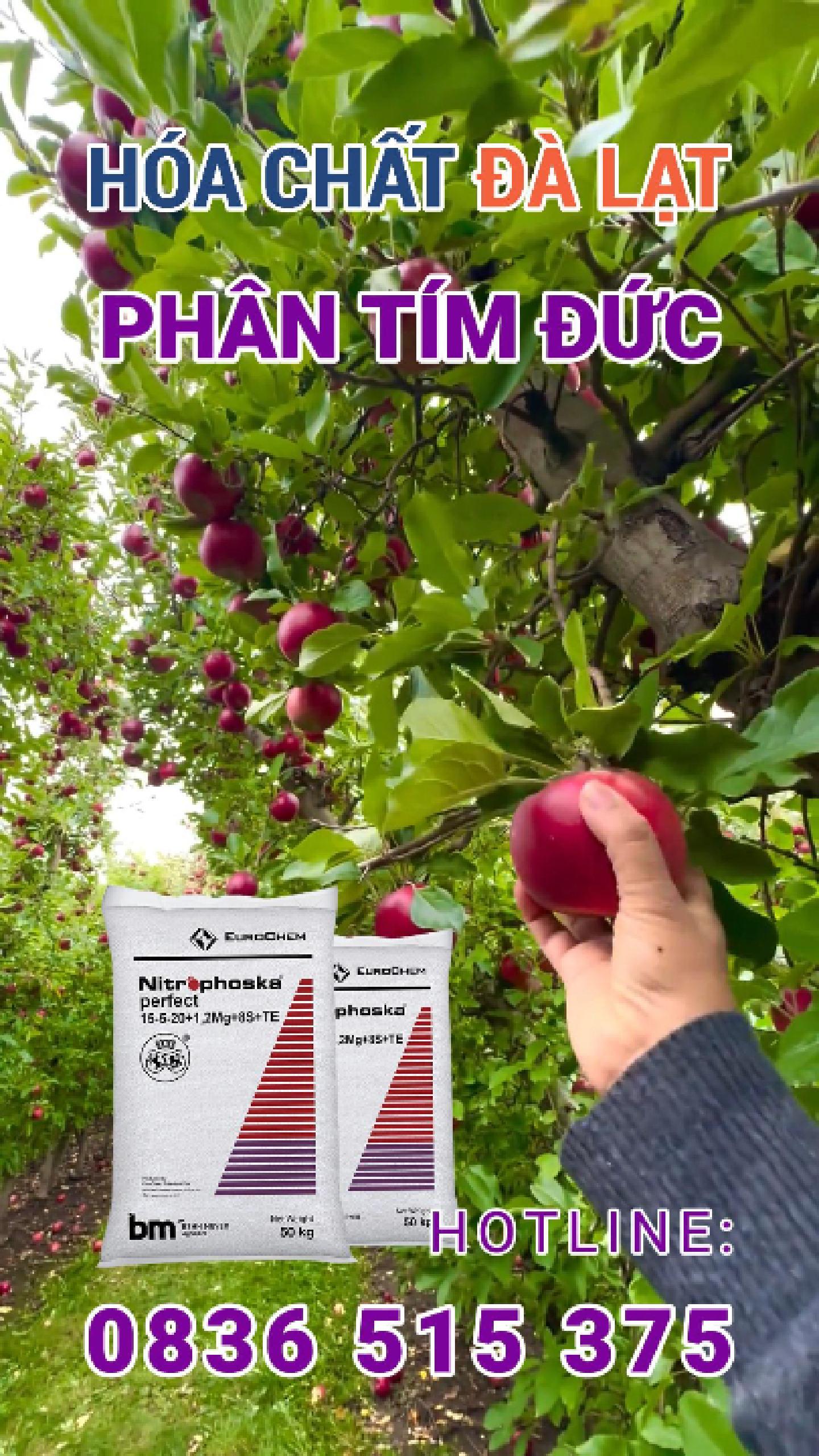 Phân Tím Đức – Nitrophoska Perfect 15-5-20+TE Chính Hãng