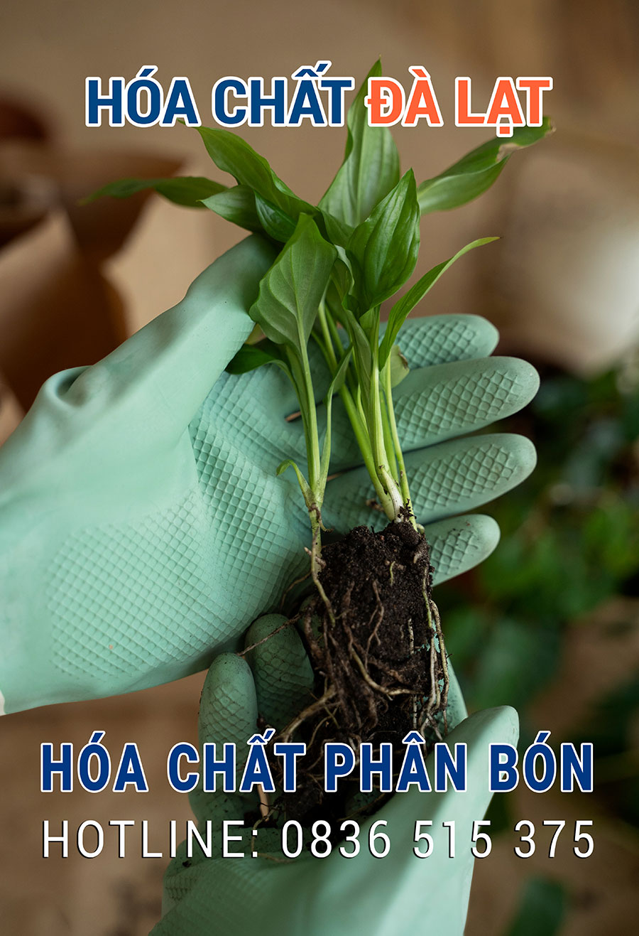 Hóa Chất Phân Bón & Nông Nghiệp