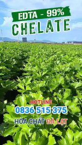 Chelate EDTA – Giải pháp bổ sung vi lượng hiệu quả cho cây trồng