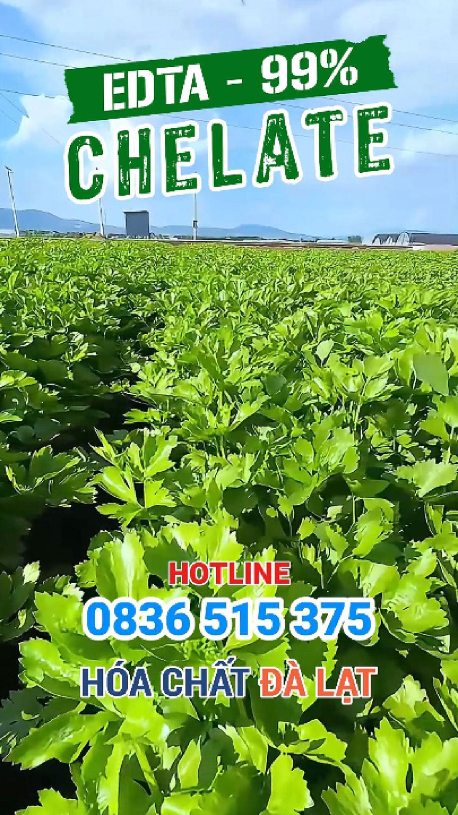 Chelate EDTA – Giải pháp bổ sung vi lượng hiệu quả cho cây trồng