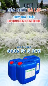 INTEROX ST 50 – Oxy Già Thái Lan 50% Cho Nông Nghiệp & Thủy Sản Hiệu Quả Vượt Trội