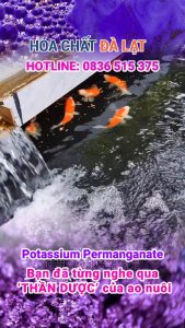 Potassium Permanganate (Thuốc Tím) – “Thần Dược” Cho Ao Nuôi Cá Tôm Và Nông Nghiệp