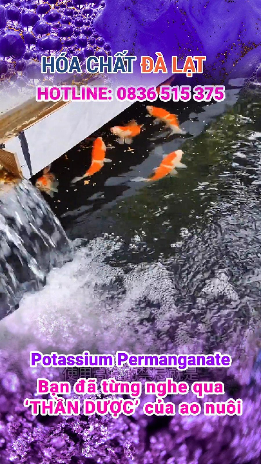 Potassium Permanganate (Thuốc Tím) – “Thần Dược” Cho Ao Nuôi Cá Tôm Và Nông Nghiệp