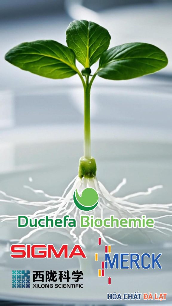 Hóa Chất Đà Lạt - Chuyên Cung Cấp Hóa Chất Nuôi Cấy Mô từ Duchefa, Merck, Himedia