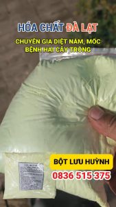 Bột Lưu Huỳnh Diệt Nấm Mốc, Bệnh Hại Cây Trồng – Giải Pháp Hiệu Quả Từ Hóa Chất Đà Lạt