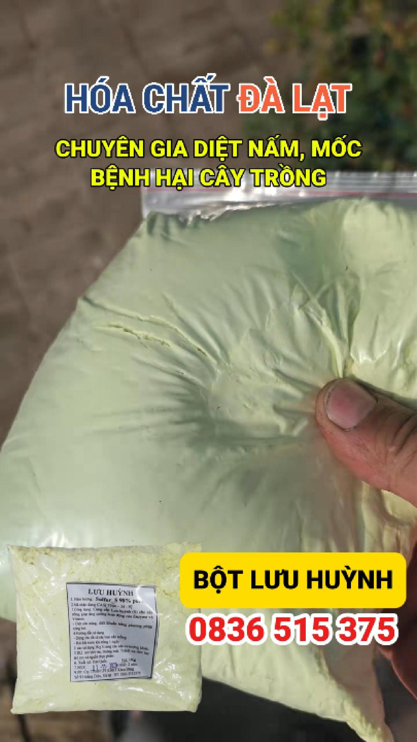 Bột Lưu Huỳnh Diệt Nấm Mốc, Bệnh Hại Cây Trồng – Giải Pháp Hiệu Quả Từ Hóa Chất Đà Lạt