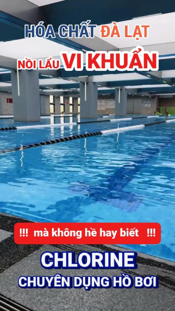 Chlorine chuyên dụng xử lý hồ bơi – Giải pháp diệt sạch rêu tảo, vi khuẩn và nấm mốc