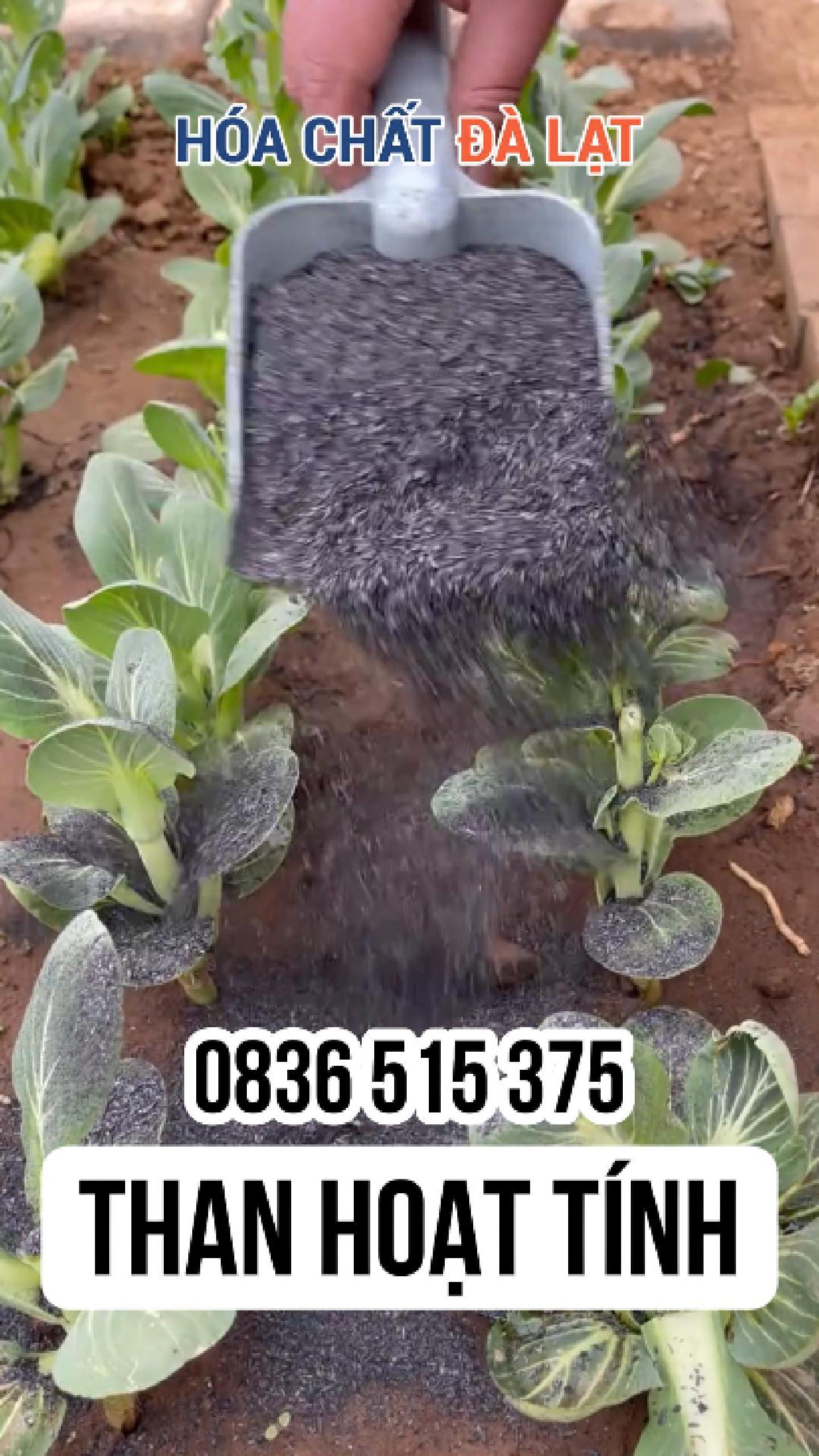 Than hoạt tính đa dụng – Giải pháp tối ưu cho công nghiệp, nông nghiệp, thí nghiệm và nuôi cấy mô | Hóa Chất Đà Lạt