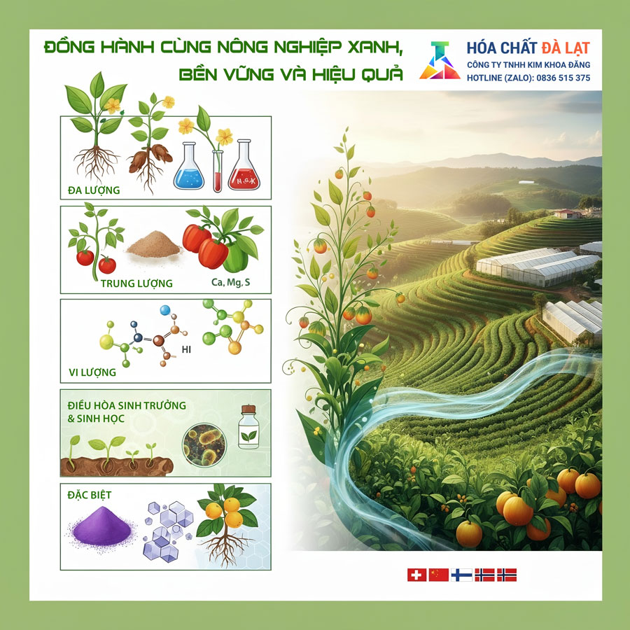 Hóa Chất Đà Lạt – Cung Cấp Hóa Chất, Phân Bón Và Vi Lượng Nông Nghiệp Chính Hãng