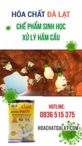 MICRÔ PHỐT – Chế phẩm sinh học xử lý hầm cầu, thông tắc ống thoát nước hiệu quả