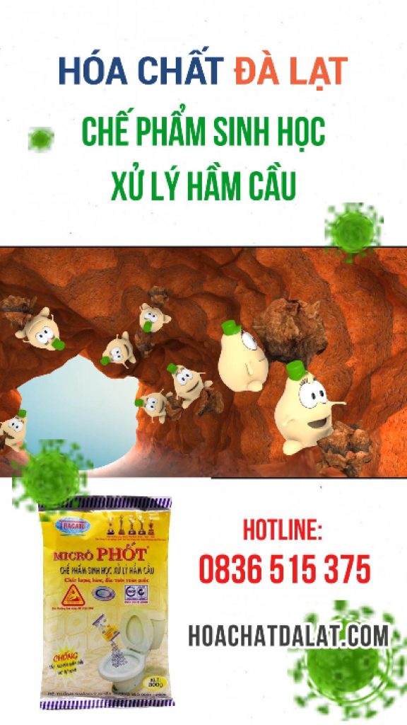 MICRÔ PHỐT – Chế phẩm sinh học xử lý hầm cầu, thông tắc ống thoát nước hiệu quả