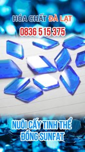 TINH THỂ ĐỒNG SUNFAT – HÓA CHẤT ĐÀ LẠT GIỚI THIỆU BỘ KIT TỰ LÀM TẠI NHÀ